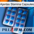 Ajantas Stamina Capsules viagra2